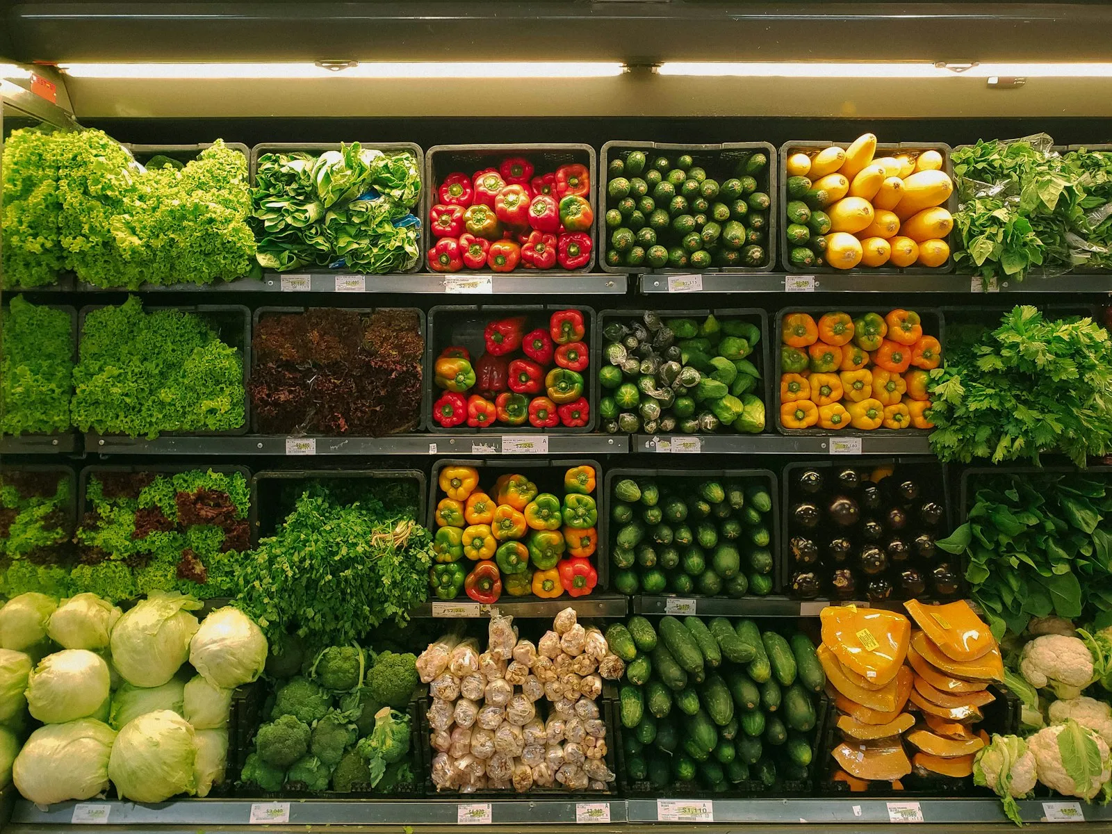 Produce shelves stocked with fresh vegetables